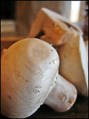 Fresh mushrooms