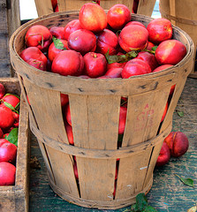Apples