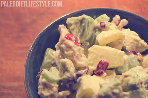 Chicken Salad With Grapes, Apples And Cranberries