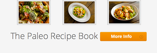 Learn more about the Paleo Recipe Book