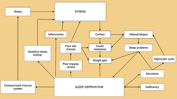 Sleep-stress cycle
