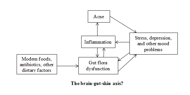 The brain-gut-skin axis