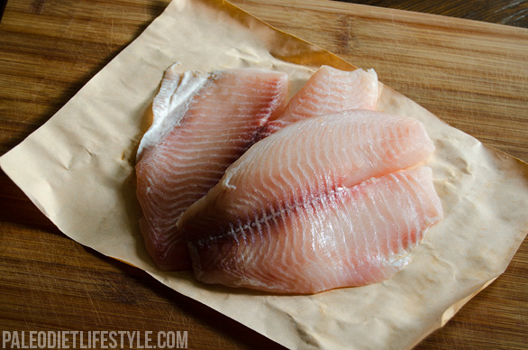 Fresh tilapia filets