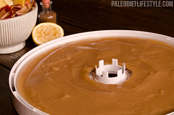 Fruit roll preparation