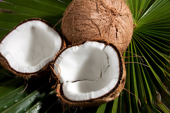 Coconut oil is a very ketogenic fat