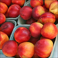 Nectarines