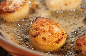 Scallops