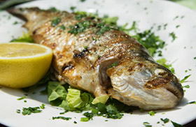 Grilled trout