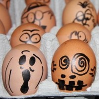 The Fear Of Saturated Fat And Cholesterol