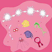 The User-Friendly (Paleo) Guide to Your Immune System