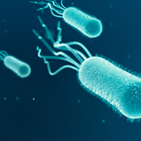 Infections and Chronic Disorders