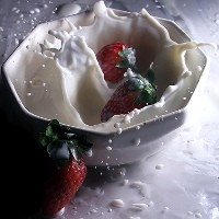 The Place of Dairy on a Paleo Diet