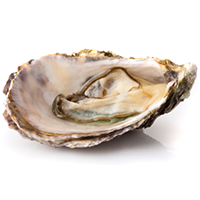 Eat This: Oysters