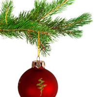 Grass-Fed Reindeer: A Dozen Paleo Holiday Survival Strategies