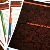 Launching the Paleo Weekly Planner