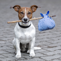 Paleo And Travelling