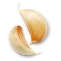 All About Garlic