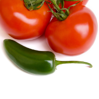 All About Nightshades