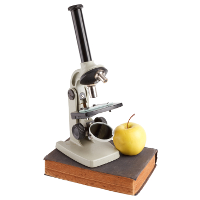 What’s Happening: Food Up Close